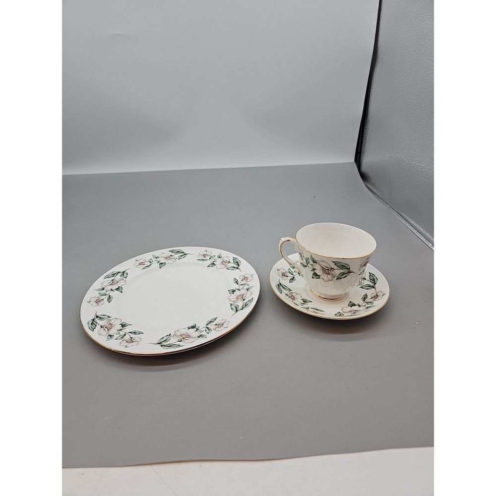 Crown Staffordshire Bone China Tea‎ Cup & Saucer  Salad Plate Pear Blossom